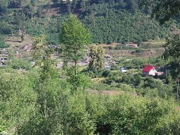 Matejovce